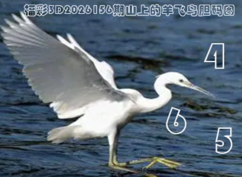 1.png 1.png